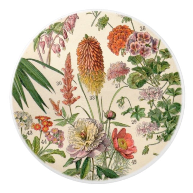 Pomo De Cerámica Flores botánicas de Bonito de época (Anverso)