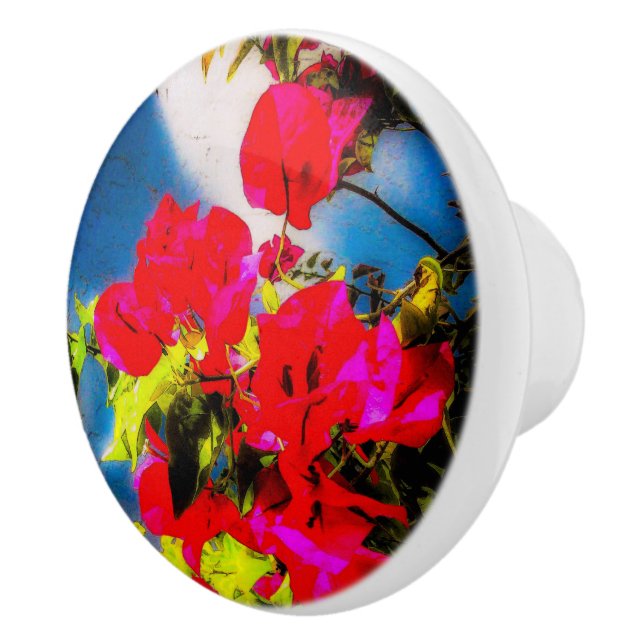 Pomo De Cerámica Flores brillantes Extracción de cerámica (Derecha)