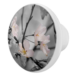 Pomo De Cerámica Flores de cerezo rosa y gris