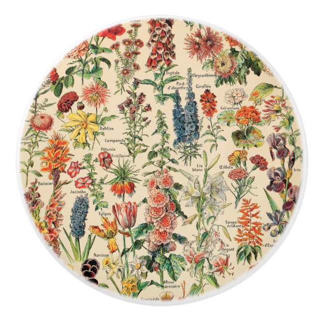 Pomo De Cerámica Flores de época de Adolphe Millot (Anverso)