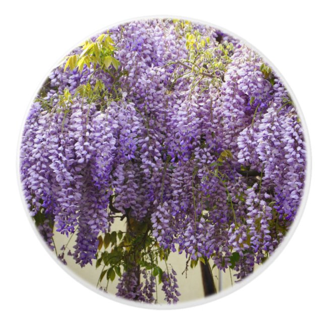 Pomo De Cerámica Flores de histeria violeta (Anverso)