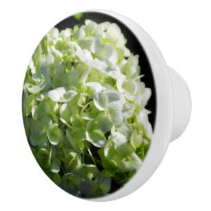 Pomo De Cerámica Flores de Hydrangeas Verdes