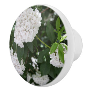Pomo De Cerámica Flores de Laurel de Montaña Blancas