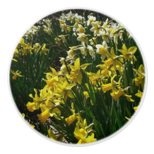 Pomo De Cerámica Flores de primavera de los Daffodils amarillos y b