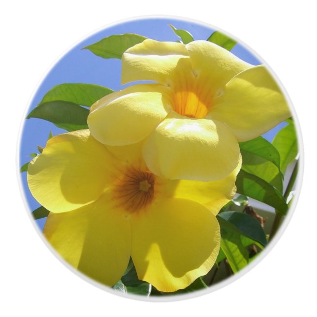 Pomo De Cerámica Flores de trompeta doradas I (Anverso)