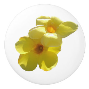 Pomo De Cerámica Flores de trompeta doradas I