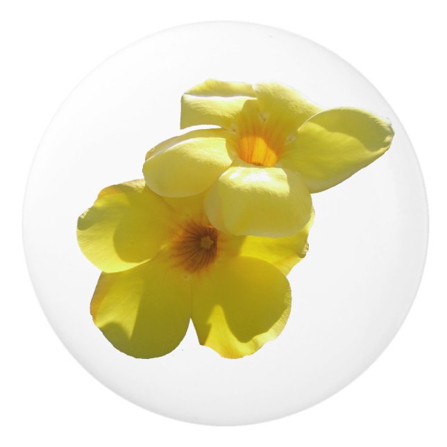 Pomo De Cerámica Flores de trompeta doradas I (Anverso)