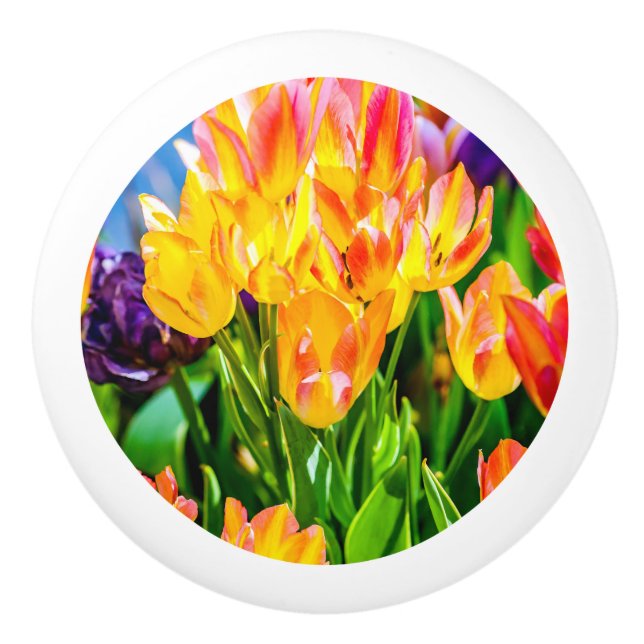 Pomo De Cerámica Flores de Tulipán - Florecen (Anverso)