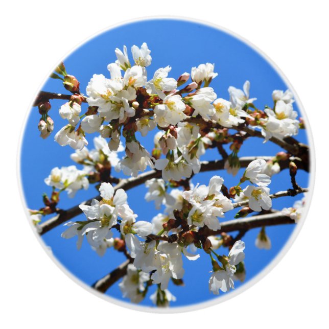 Pomo De Cerámica Flores elegantes de flores blancas (Anverso)