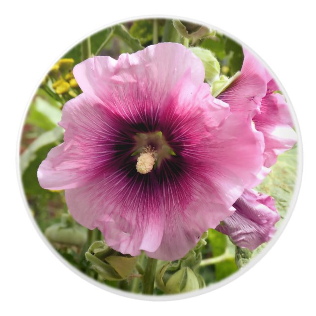 POMO DE CERÁMICA FLORES PINK HOLLYHOCK (Anverso)