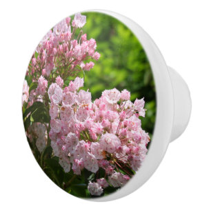 Pomo De Cerámica Flores rosadas de laurel de montaña