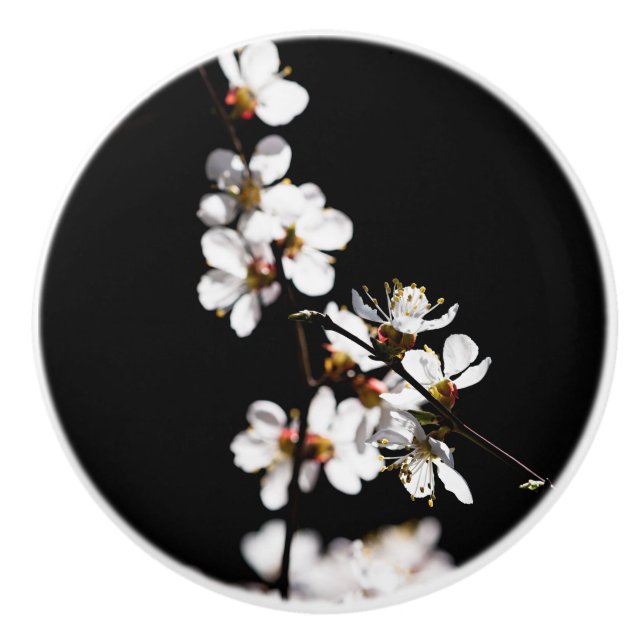Pomo De Cerámica Flores sakura (Anverso)