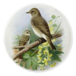 Pomo De Cerámica Flycatchers, Ilustracion de arte