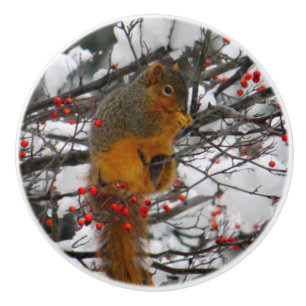 Pomo De Cerámica Foto de árbol de cerezas rojas de nieve de ardill