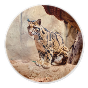 Pomo De Cerámica foto de leopardo nebuloso naturaleza vida silvestr