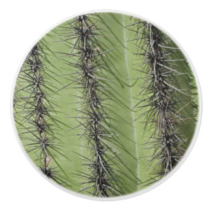 Pomo De Cerámica Foto de Saguaro Cactus Foto Planta Verde Brillante
