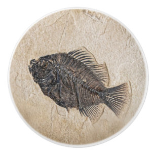Pomo De Cerámica Foto de Sandstone Fish Fossil