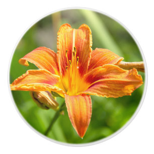 Pomo De Cerámica Foto de una flor de Lily grande
