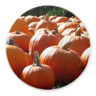 Pomo De Cerámica Fotografía de calabazas para Caída, Halloween o Dí