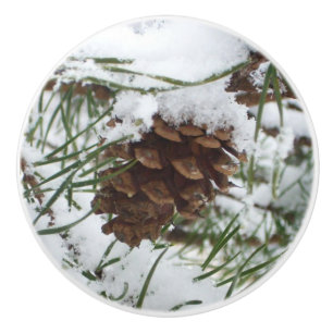 Pomo De Cerámica Fotografía de la naturaleza de la nieve de Pine Co