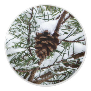Pomo De Cerámica Fotografía de la naturaleza del invierno de Snowy