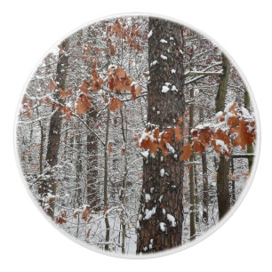Pomo De Cerámica Fotografía de naturaleza invernal de robles cubier