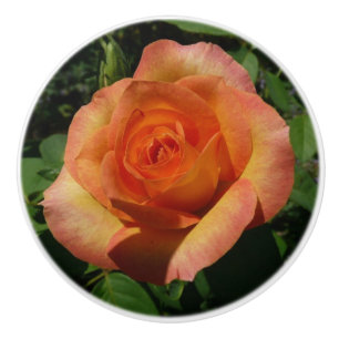 Pomo De Cerámica Fotografía de Peach Rosa Naranja Floral
