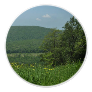 Pomo De Cerámica Fotografía de verano de Laurel Highlands Pennsylva