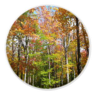 Pomo De Cerámica Fotografía del paisaje otoñal del bosque otoñal II