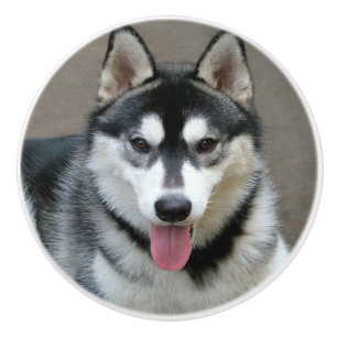 Pomo De Cerámica Fotografía del perro del Malamute de Alaska