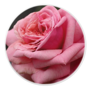 Pomo De Cerámica Fotografía floral Rosa I Bonito