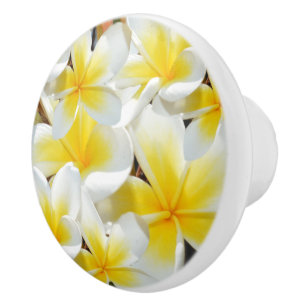 Pomo De Cerámica Frangipani amarillo blanco Bouquet