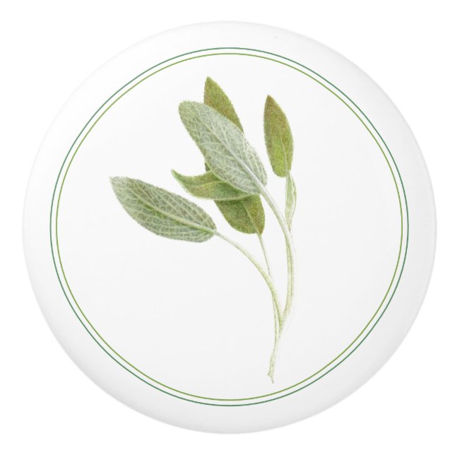 Pomo de cerámica FRESH SAGE (Anverso)