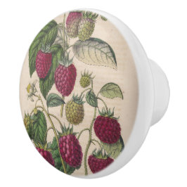 Pomo De Cerámica Fruta de frambuesa vintage