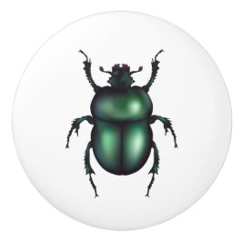 Pomo De Cerámica Funny Insect