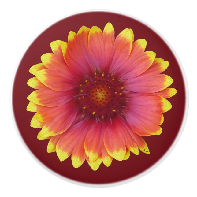 Pomo De Cerámica Gaillardia 1 (Anverso)