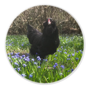 Pomo De Cerámica Gallina de gallina de gallina de la perla azul de 