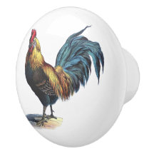 Gallo Rojo Azul Amarillo Sobre Blanco
