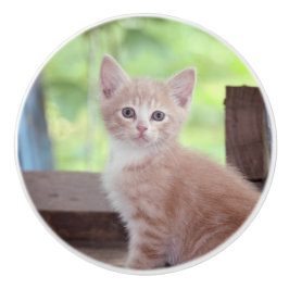 Pomo De Cerámica Gatito