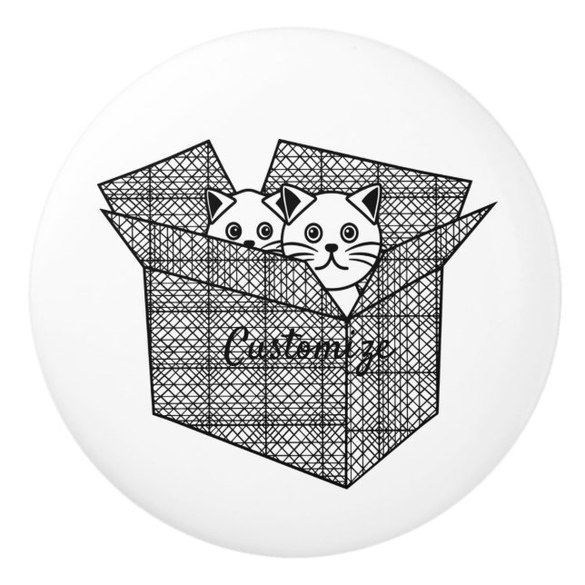 Pomo De Cerámica Gatitos en una caja Thunder_Cove (Anverso)