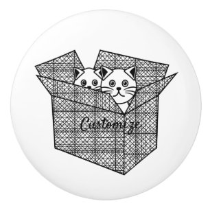 Pomo De Cerámica Gatitos en una caja trueno