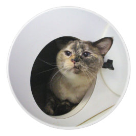 Pomo De Cerámica Gato