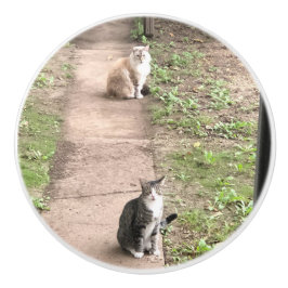 Pomo De Cerámica Gato