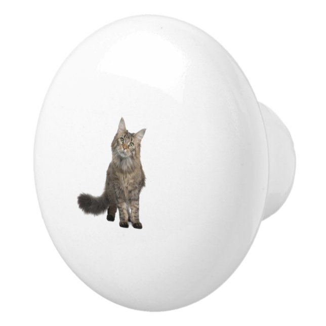 Pomo De Cerámica Gato (Derecha)