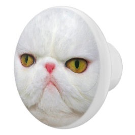 Pomo De Cerámica Gato blanco