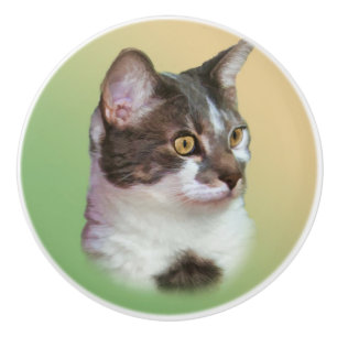 Pomo De Cerámica Gato blanco y negro, personalizable