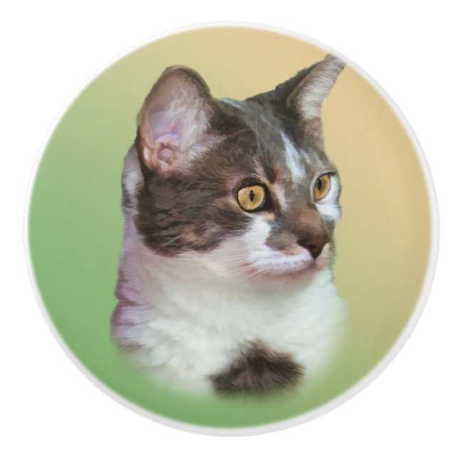 Pomo De Cerámica Gato blanco y negro, personalizable (Anverso)