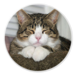 Pomo De Cerámica Gato de corte