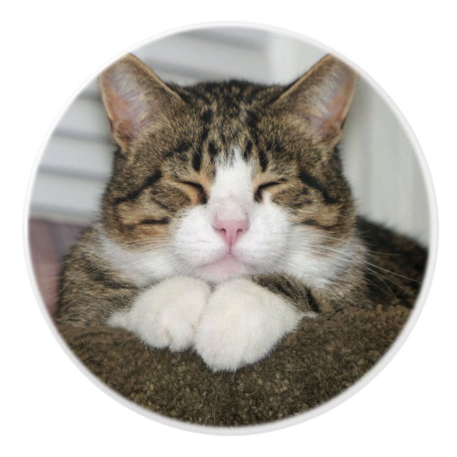 Pomo De Cerámica Gato de corte (Anverso)