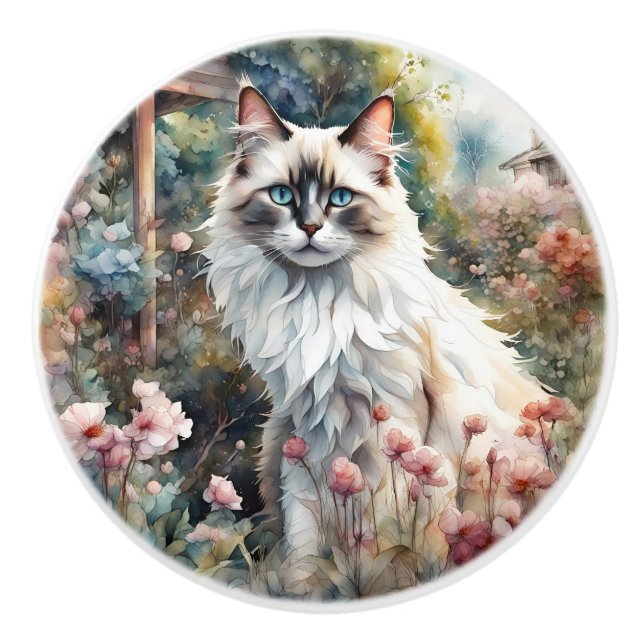 Pomo De Cerámica Gato de Ragdoll en un jardín inglés (Anverso)